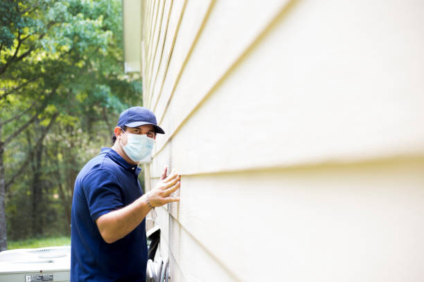 Best Custom Siding Design  in Royalton, IL